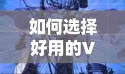 如何选择好用的VPN软件,深度分析与推荐 如何选择好用的VPN软件,深度分析与推荐